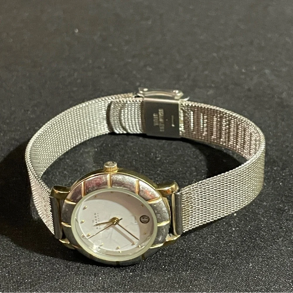 Skagen Silver and Gold Watch